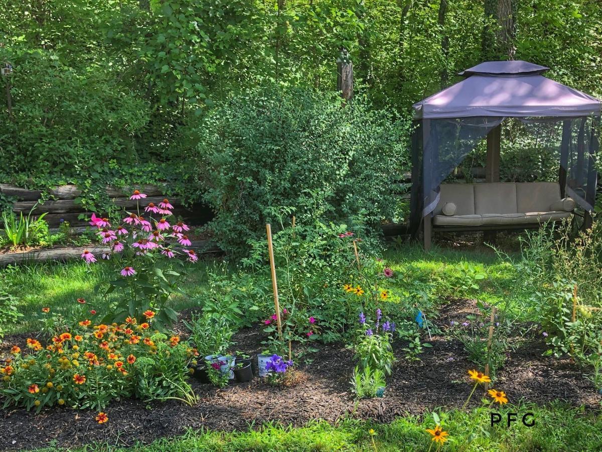 Cozy Cottage Retreat Lambton Shores Bagian luar foto