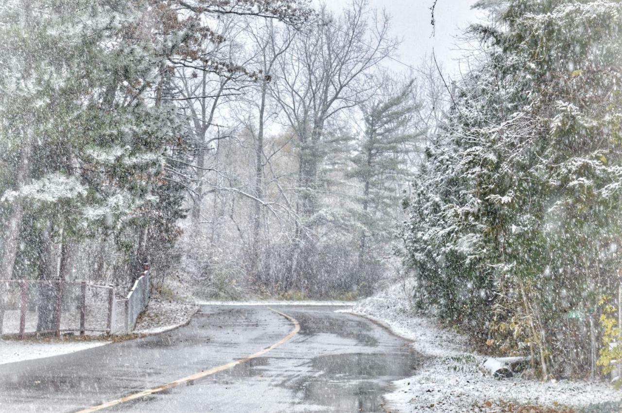 Cozy Cottage Retreat Lambton Shores Bagian luar foto
